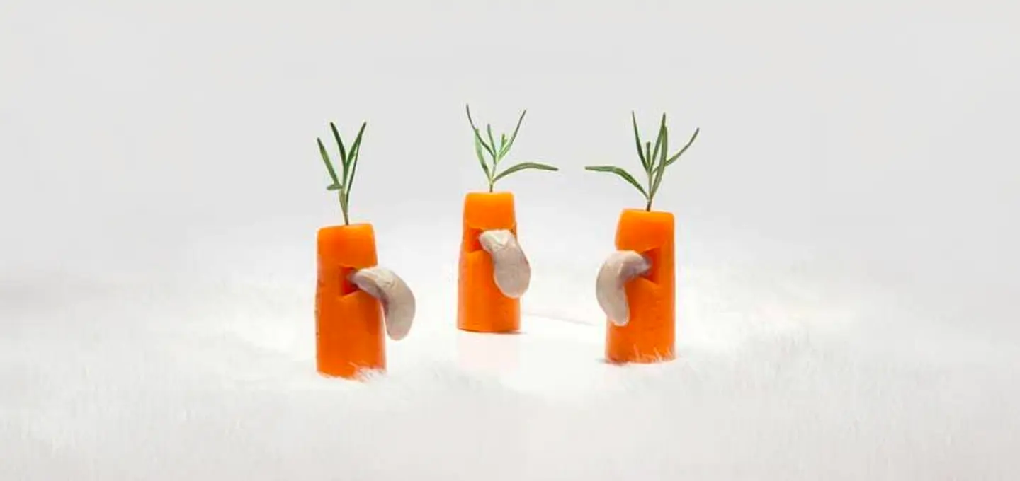 Lapin Carrotte