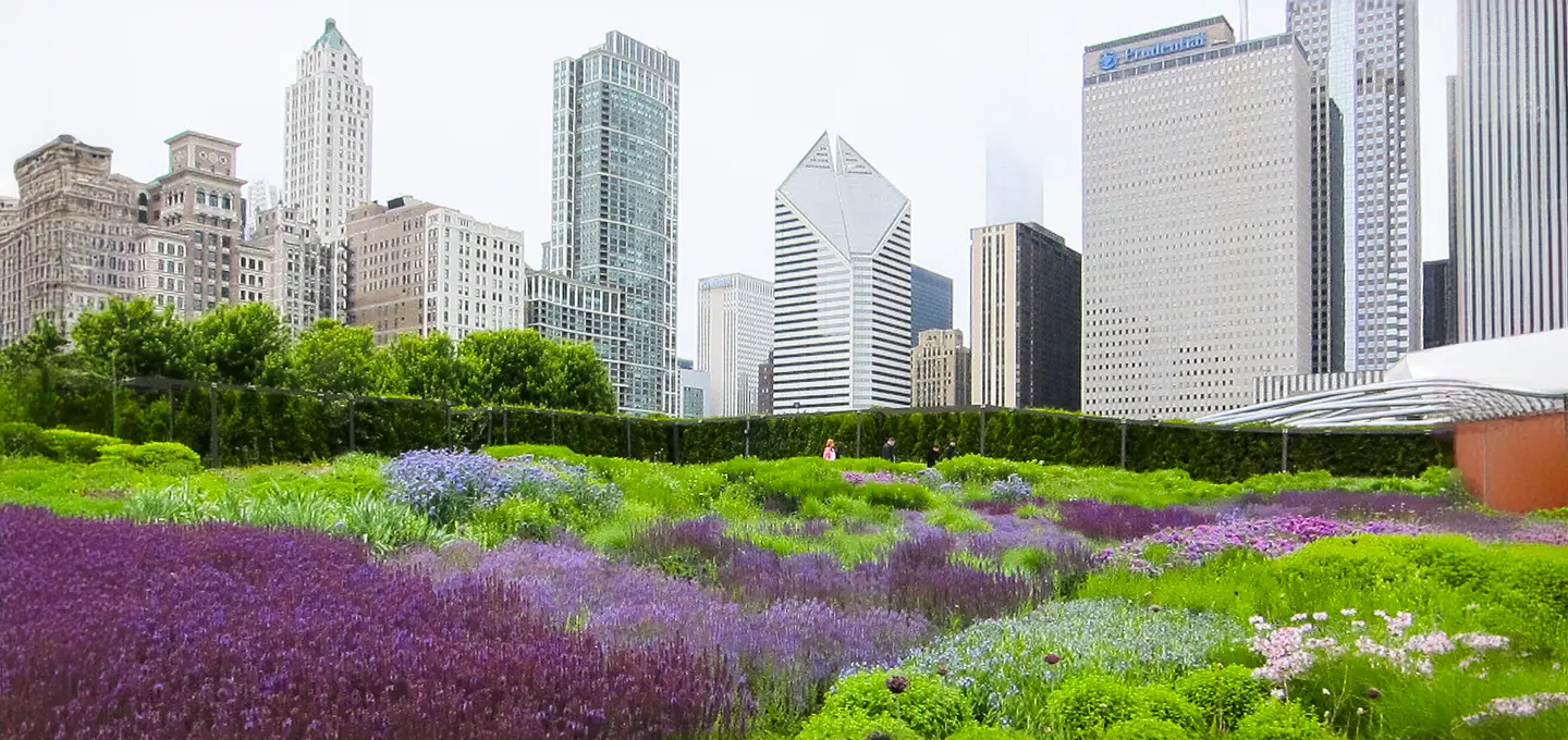 Lurie Garden