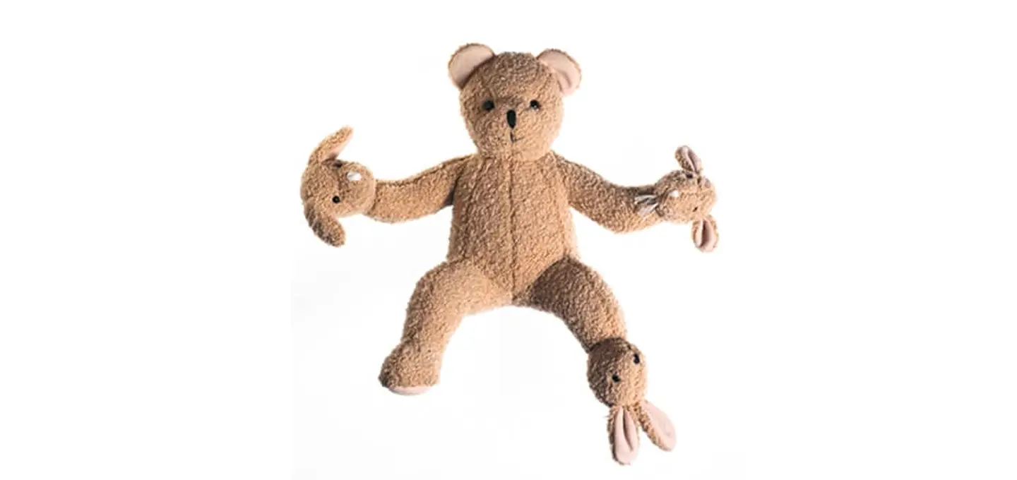Teddy Bear Band