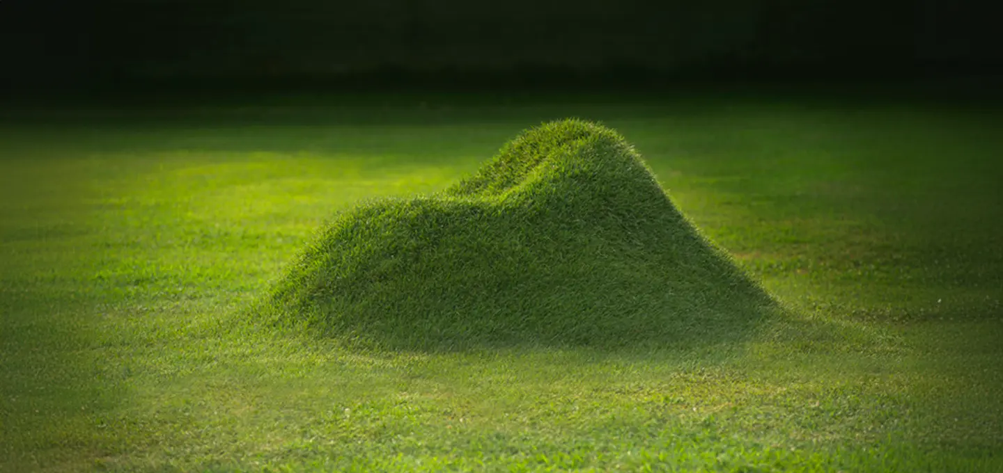 Terra Grass armchair