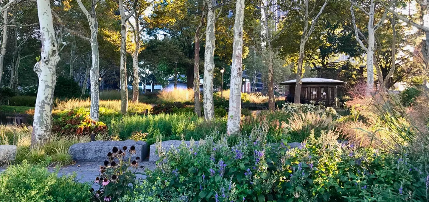 The Battery Bosque