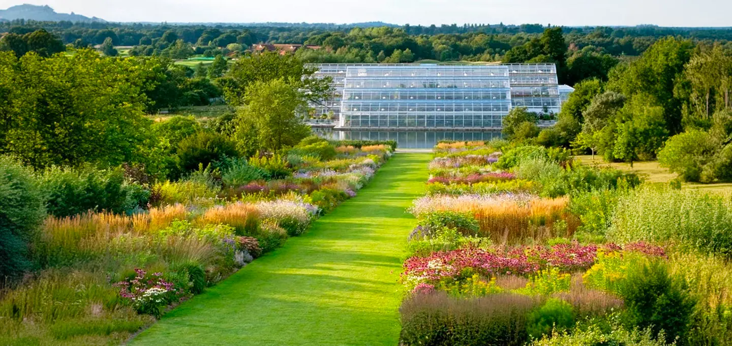 Wisley Planting