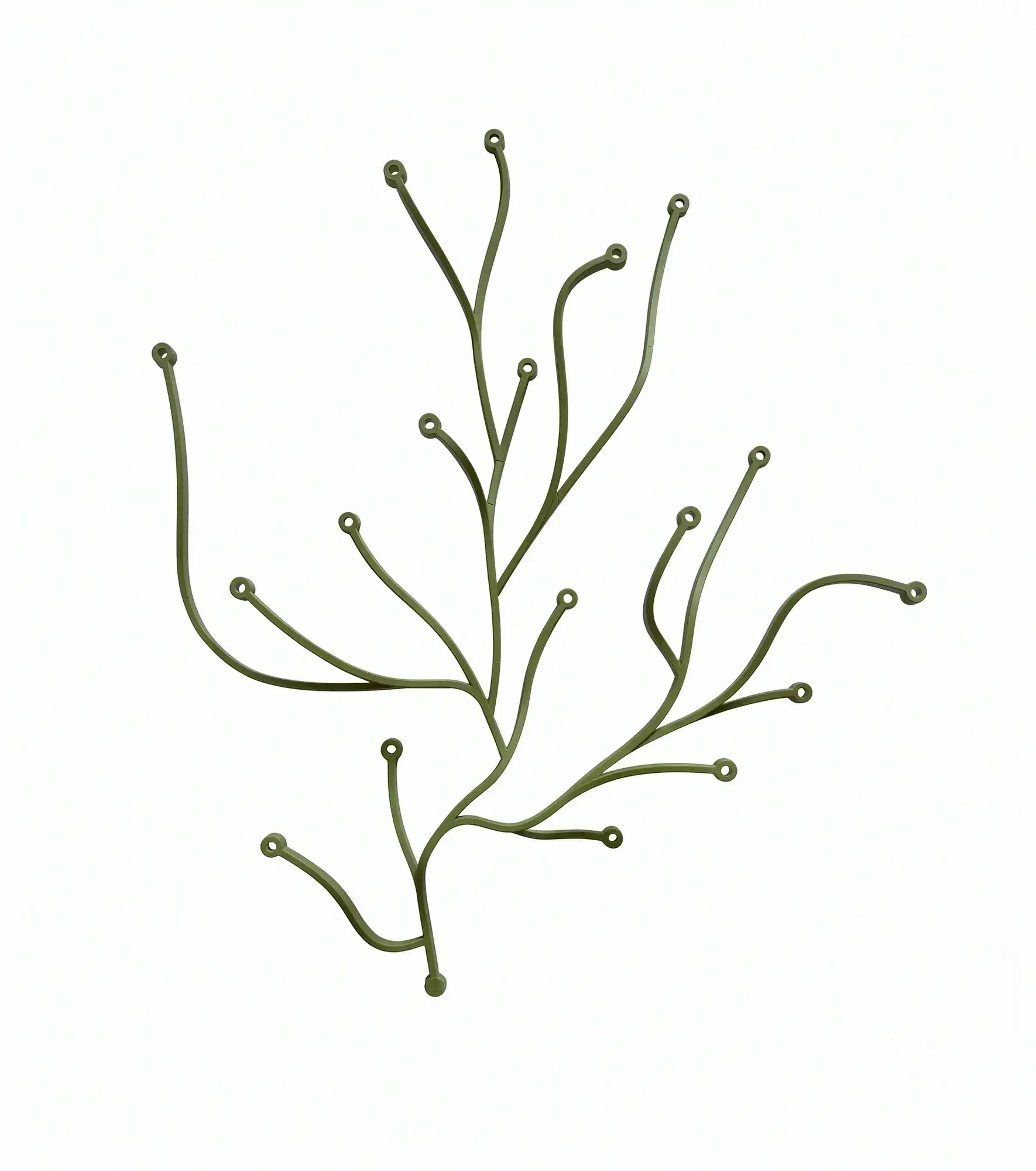 Algues - Image 1