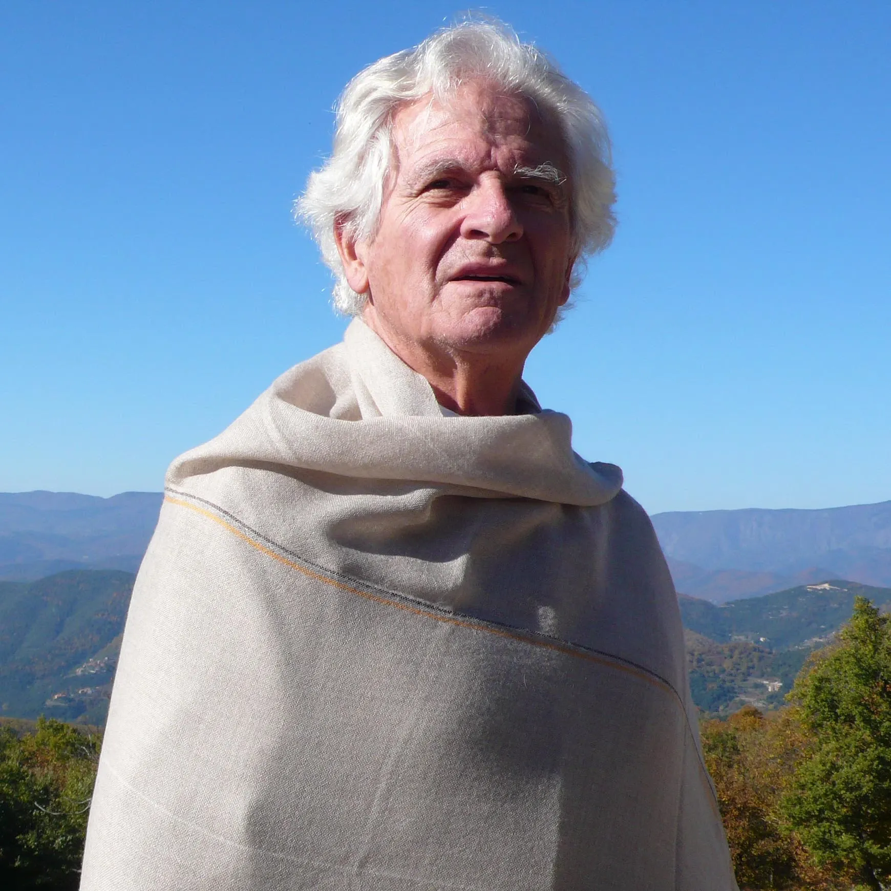 Pierre Paulin - Image 1