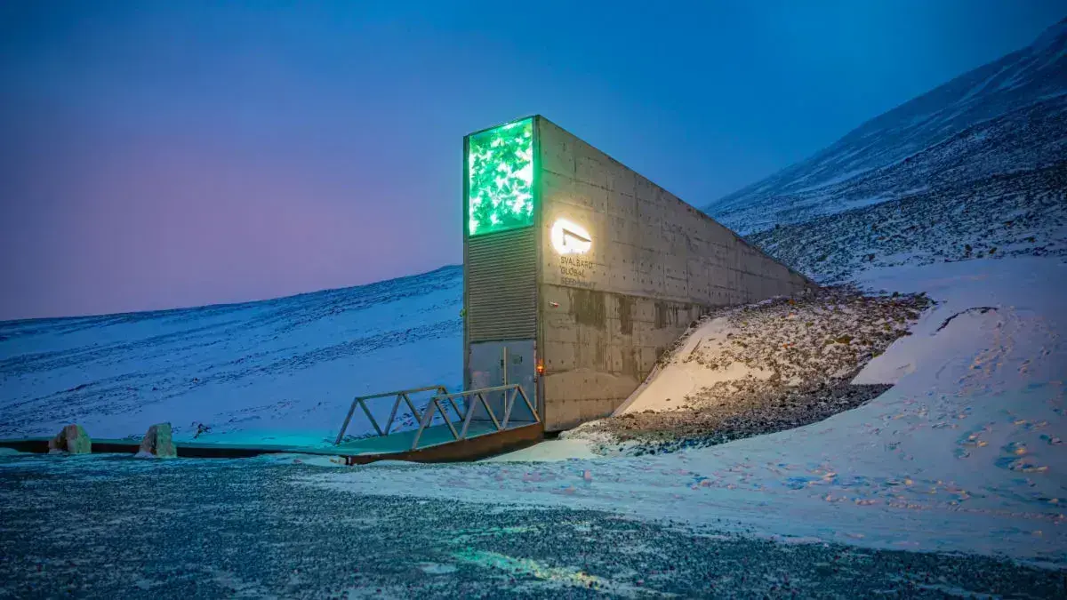 Réserve mondiale semences Svalbard - Image 2