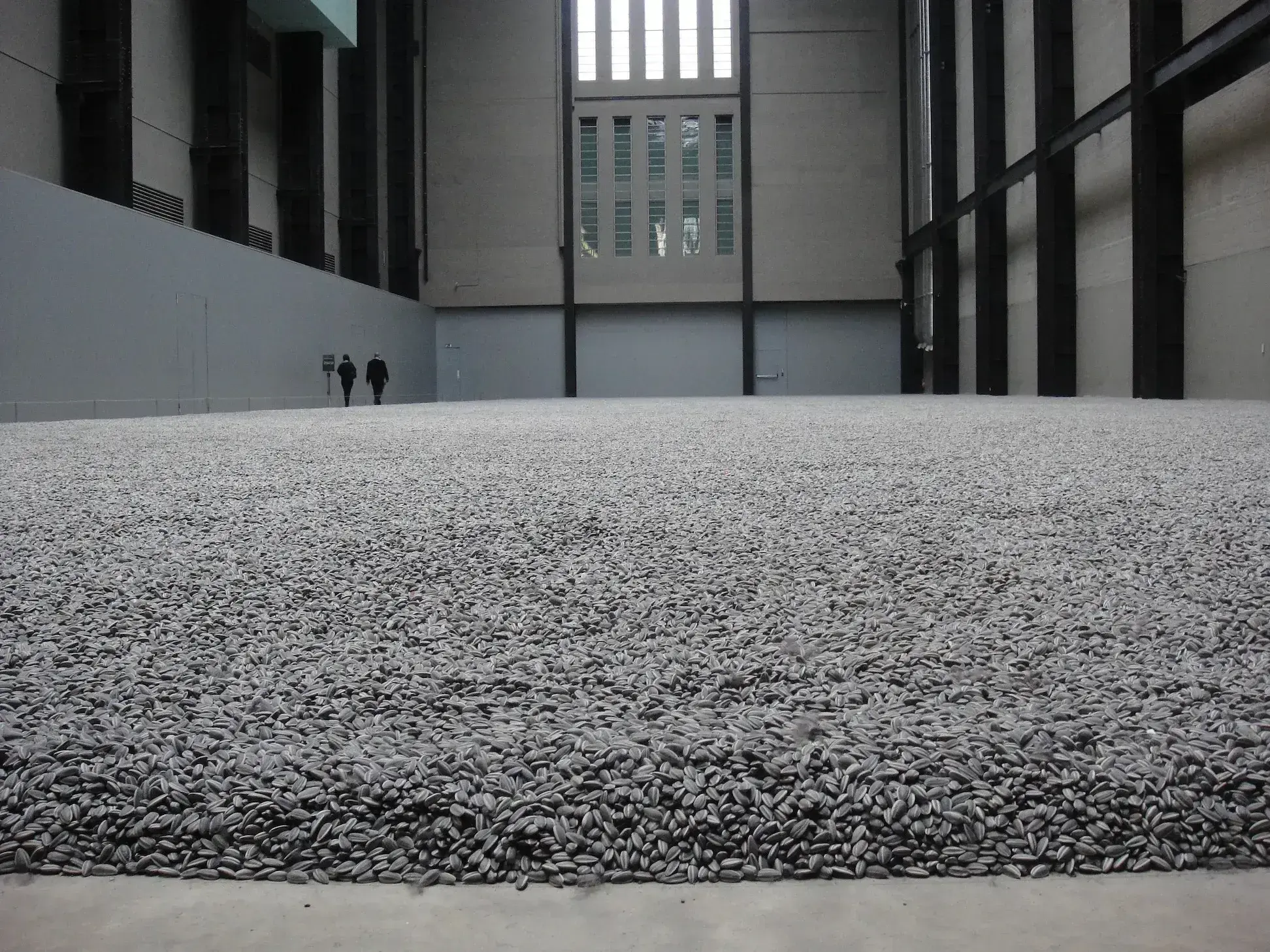 Sunflower Seeds - Image 1