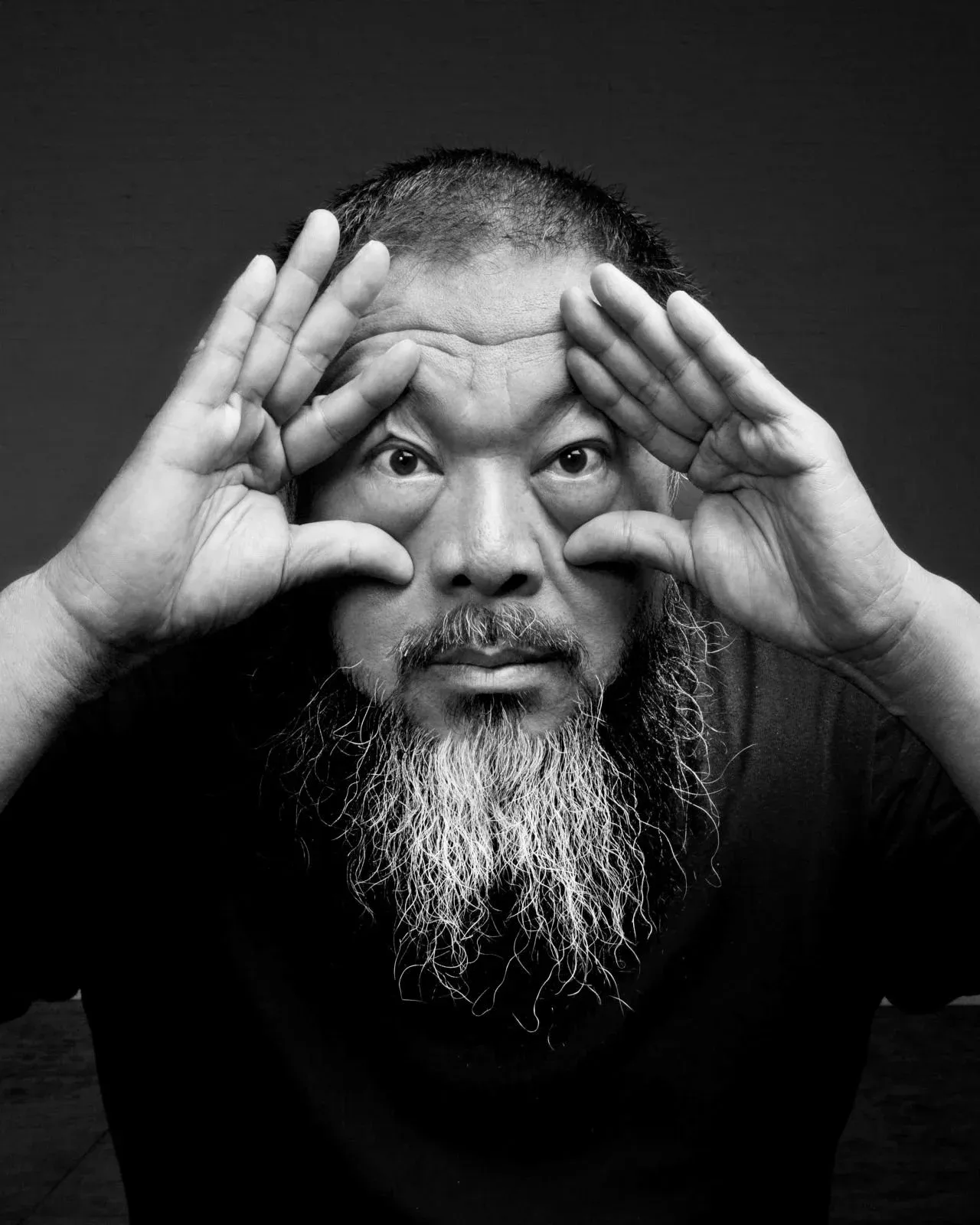 Ai Weiwei - Image 1