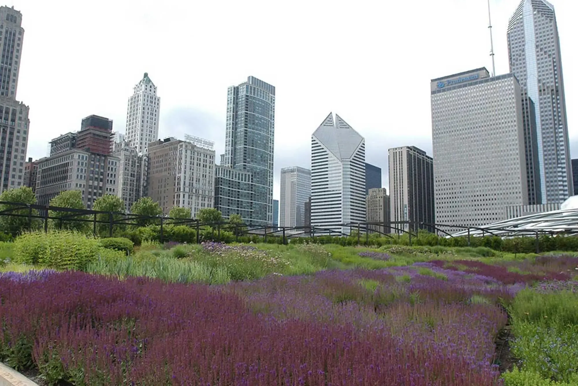 Lurie Garden - Image 1