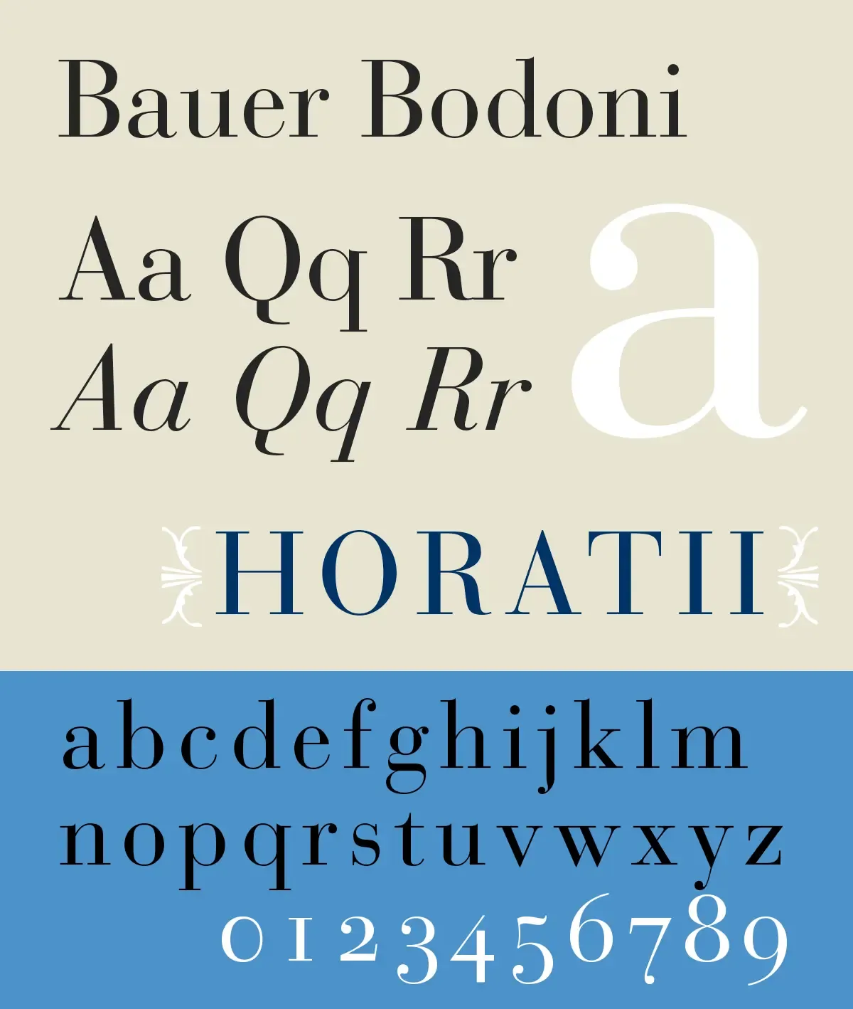 Bodoni - Image 1