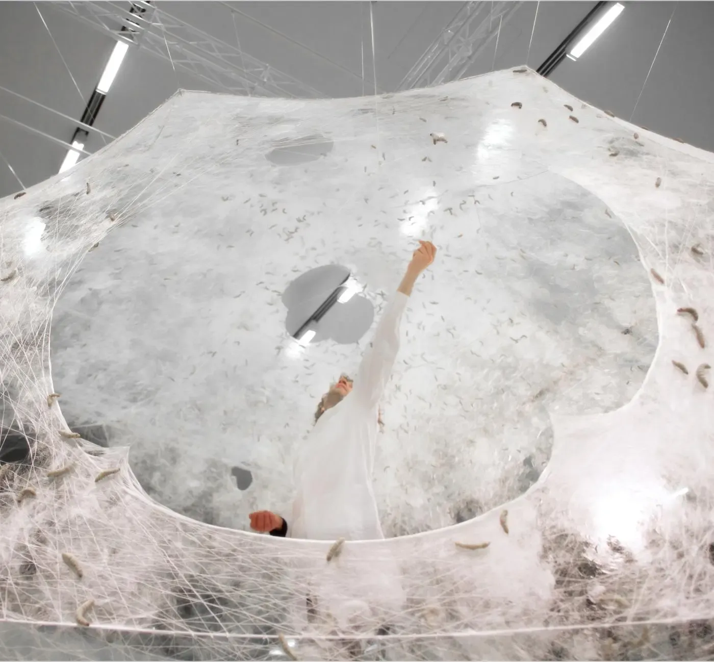 Silk Pavilion - Image 3