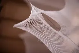 Silk Pavilion 2 - Image 2