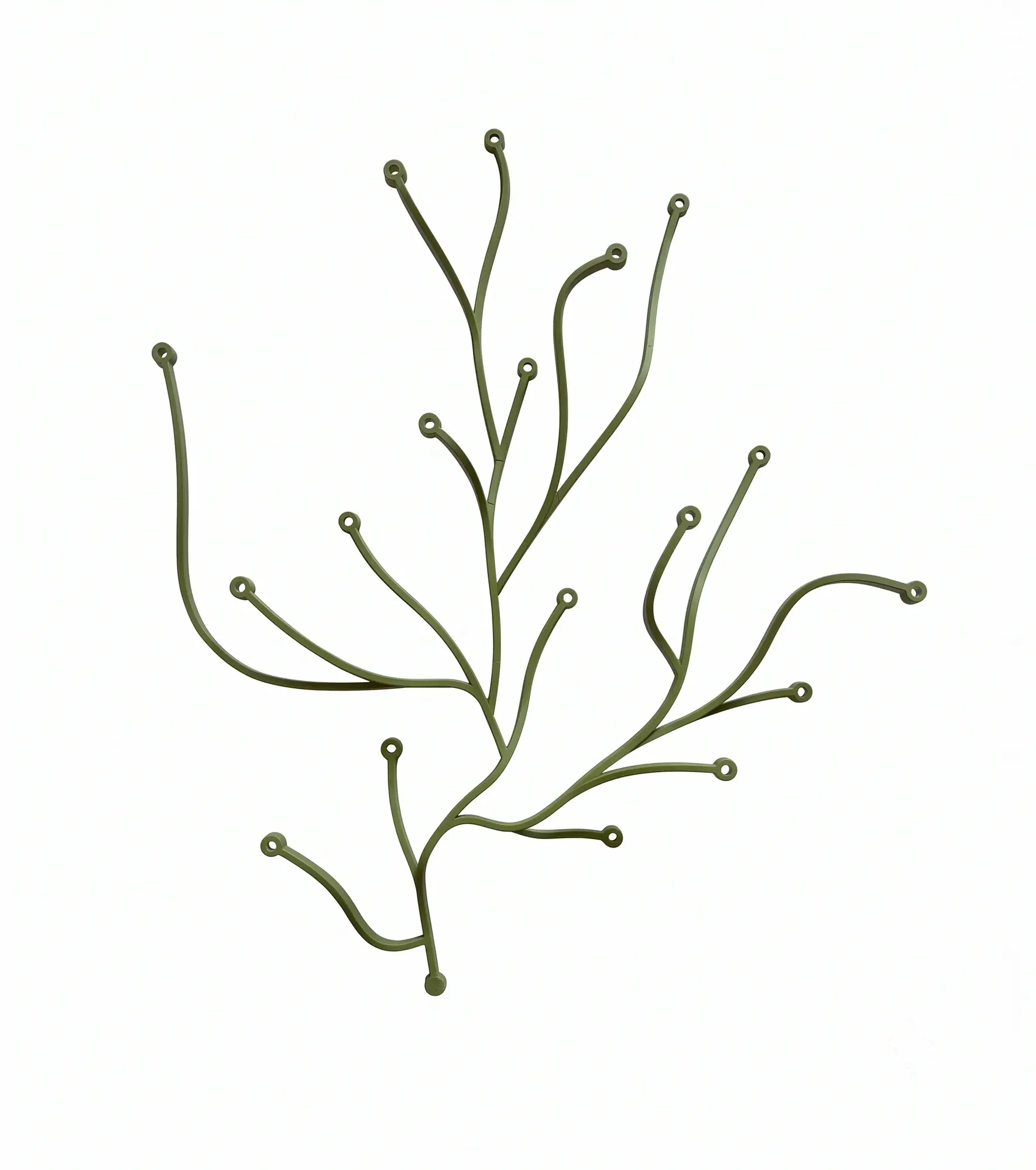 Algues - Image 1