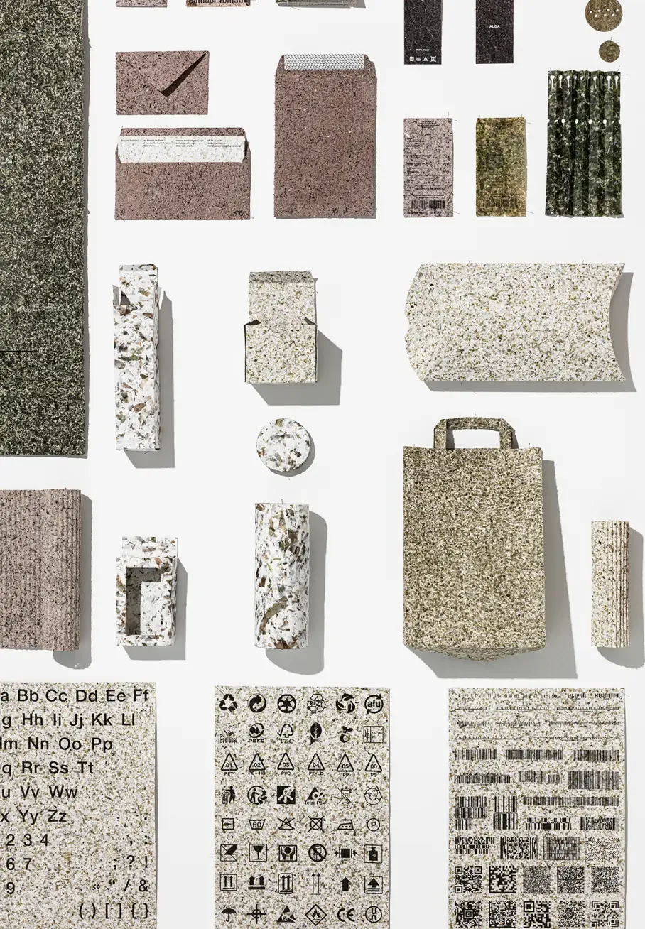 Alga - Image 2