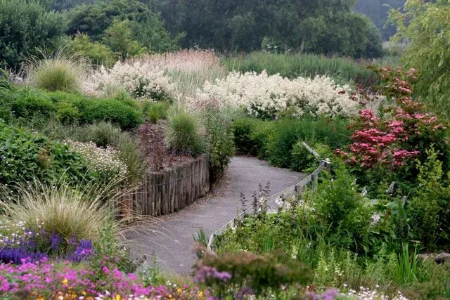 Pensthorpe Natural Park - Image 2