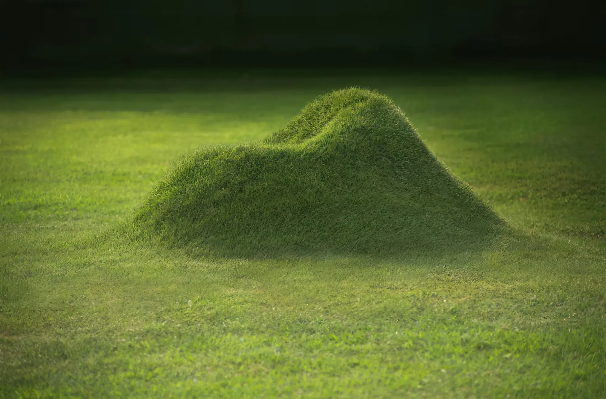 Terra! - Grass armchair - Image 1