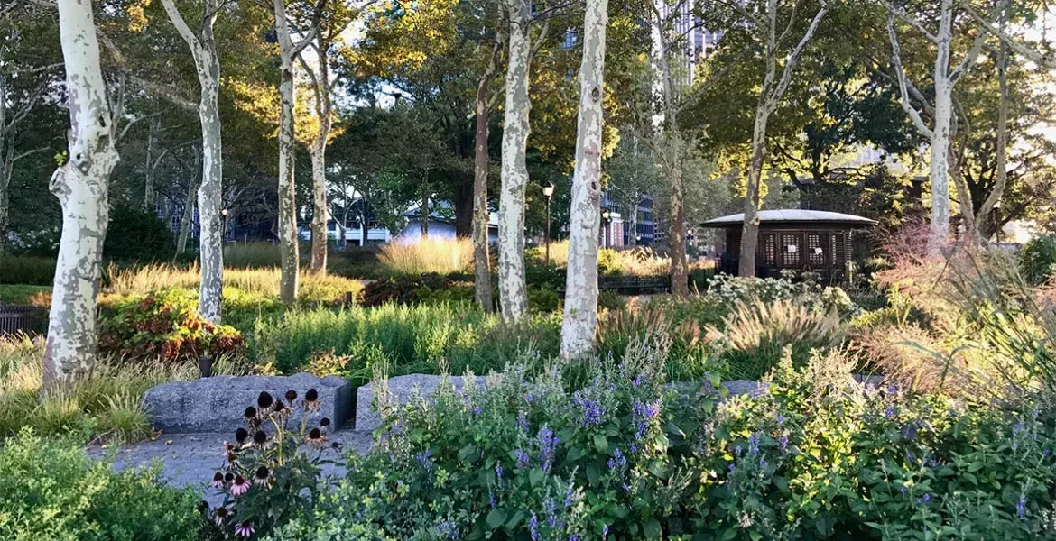 The Battery Bosque - Image 1