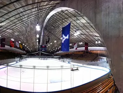 The Whale - David S. Ingalls Rink