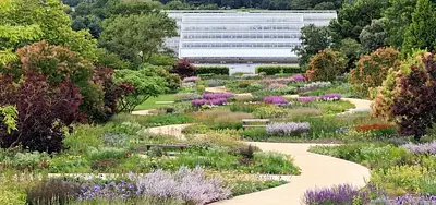 Wisley Planting