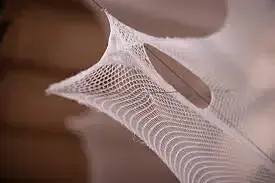 Silk Pavilion 2