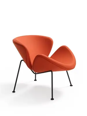 Orange Slice