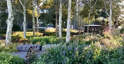 The Battery Bosque