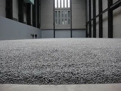 Sunflower Seeds