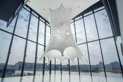 Silk Pavilion 2