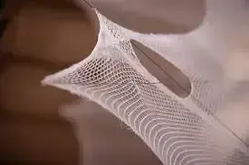 Silk Pavilion 2